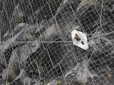 蜘蛛網(wǎng) 蜘蛛網(wǎng)