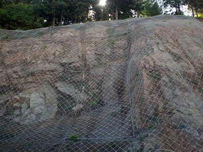 邊坡防護(hù)網(wǎng) 邊坡防護(hù)網(wǎng)