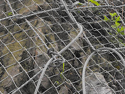 蜘蛛網(wǎng) 蜘蛛網(wǎng)